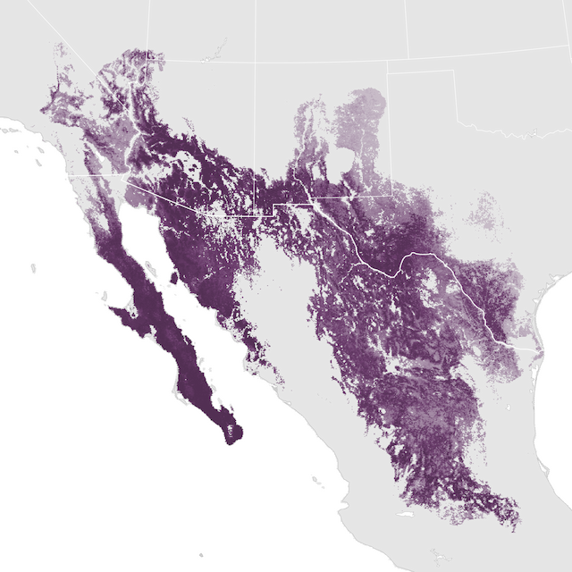 Abundance Map