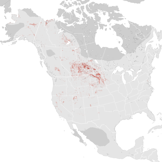 Abundance Map