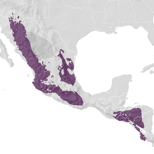 Range Map