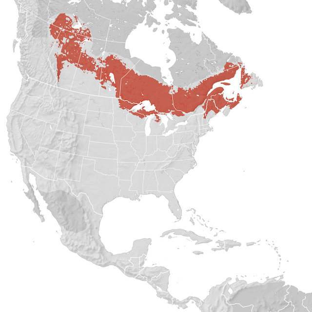 Range Map