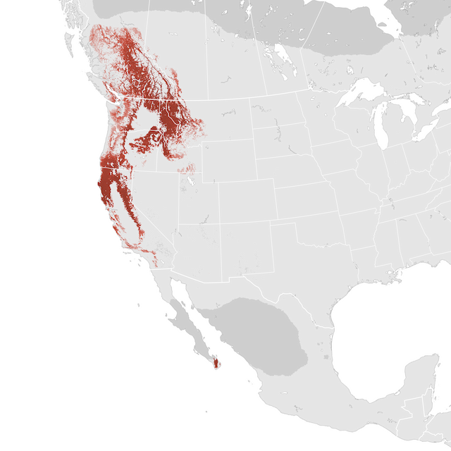 Abundance Map