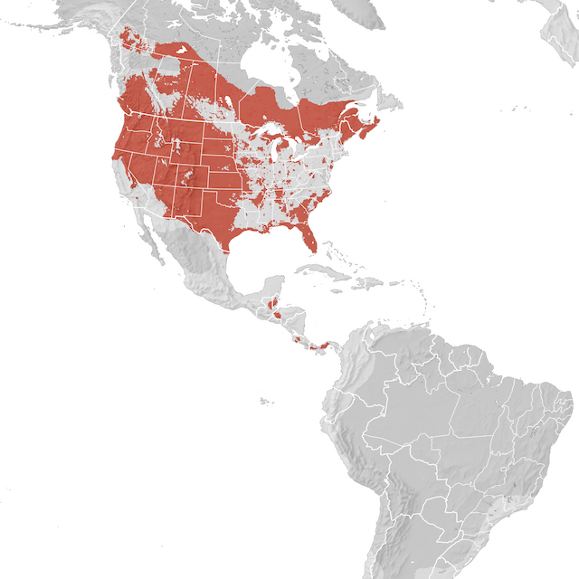 Range Map