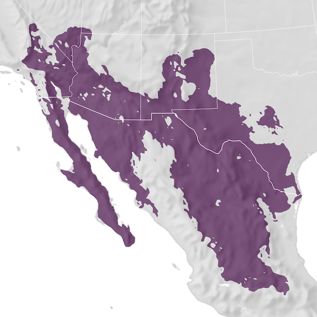 Range Map