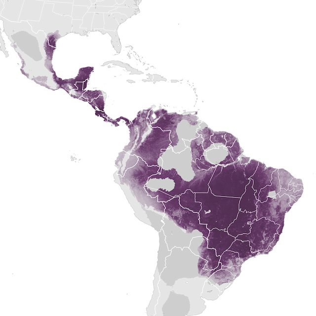 Abundance Map