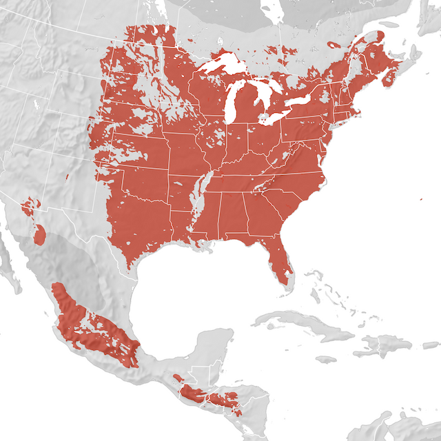 Range Map