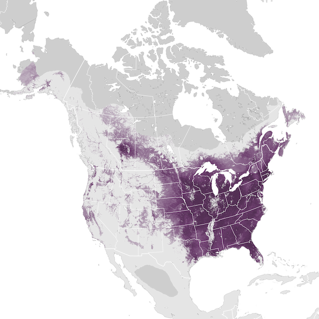 Abundance Map