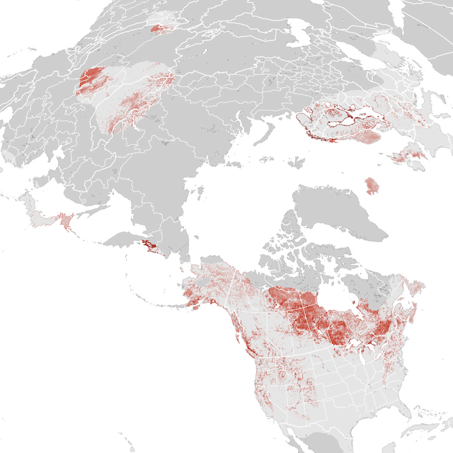 Abundance Map