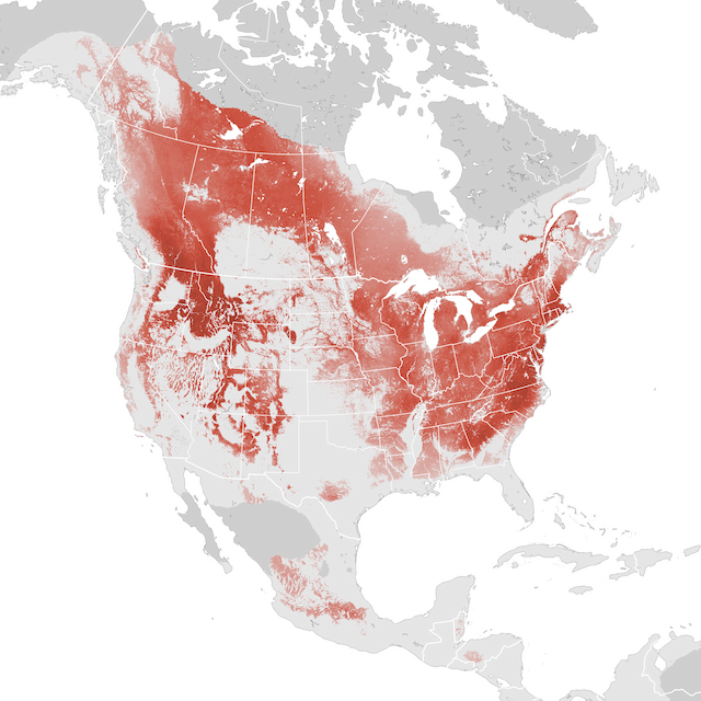 Abundance Map