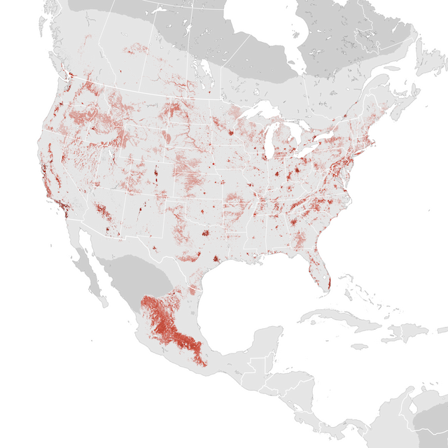 Abundance Map
