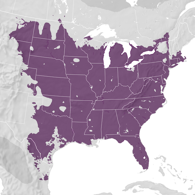 Range Map