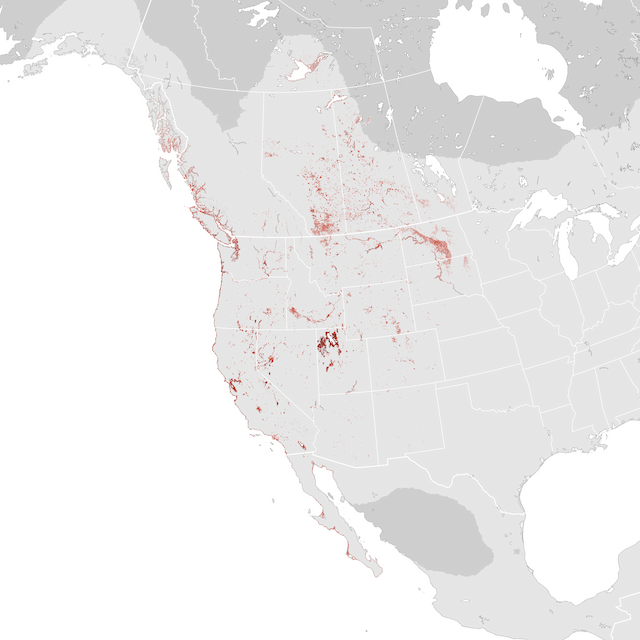Abundance Map