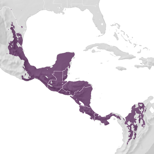 Range Map