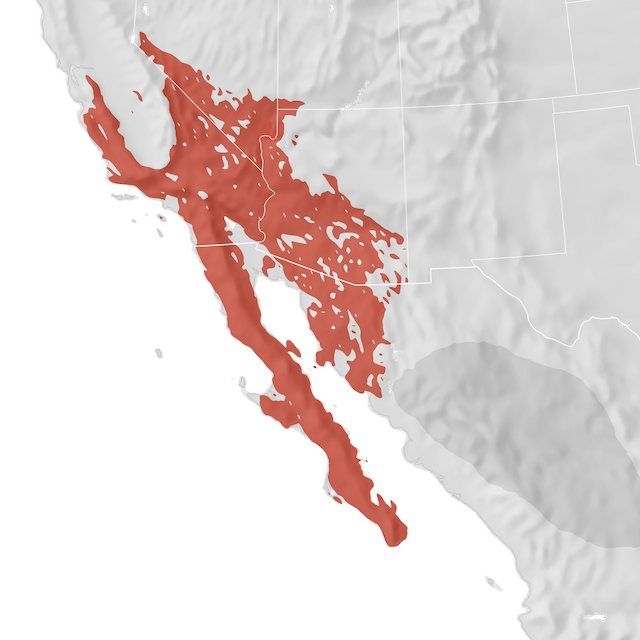 Range Map