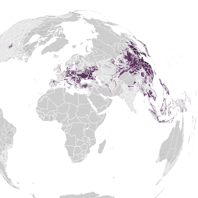 Abundance Map