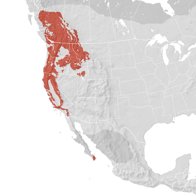 Range Map