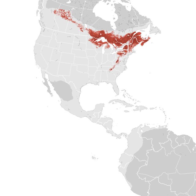 Abundance Map