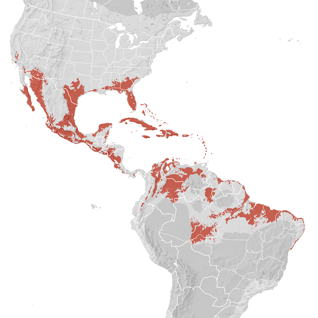 Range Map