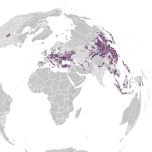 Range Map
