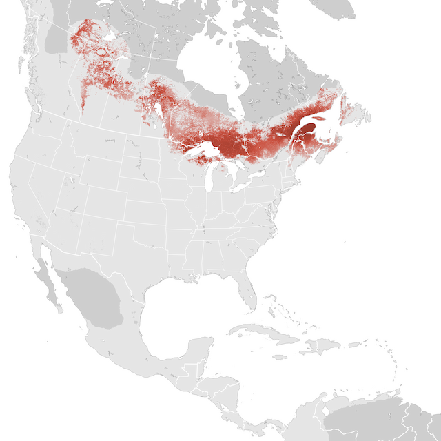 Abundance Map