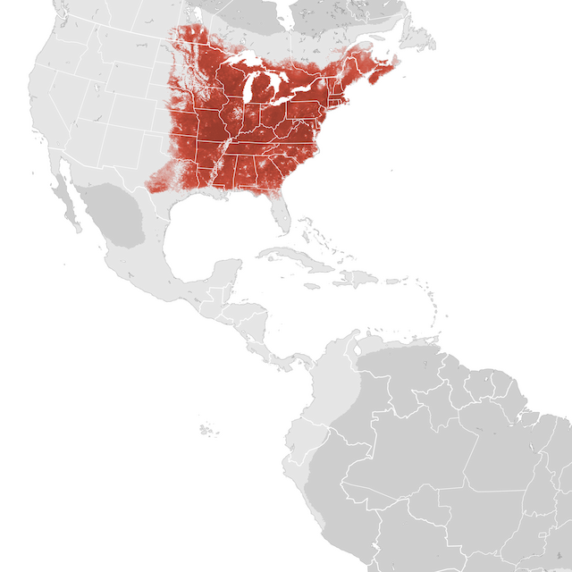 Abundance Map