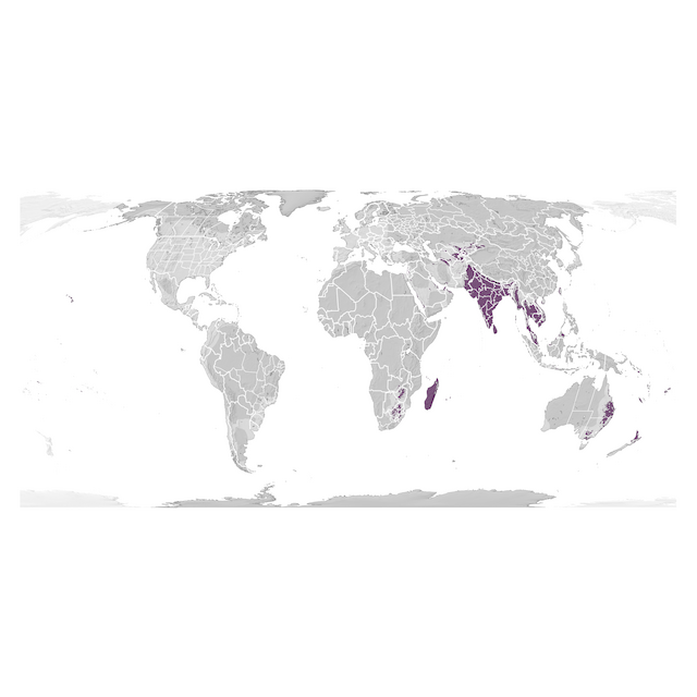 Range Map