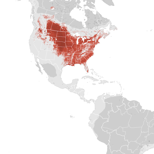 Abundance Map