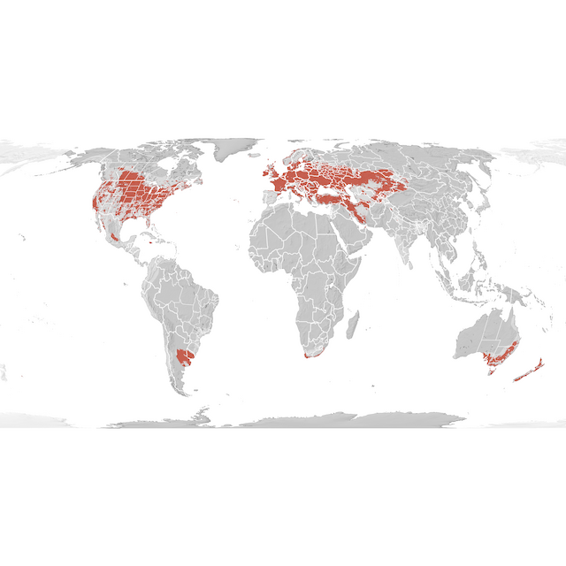 Range Map