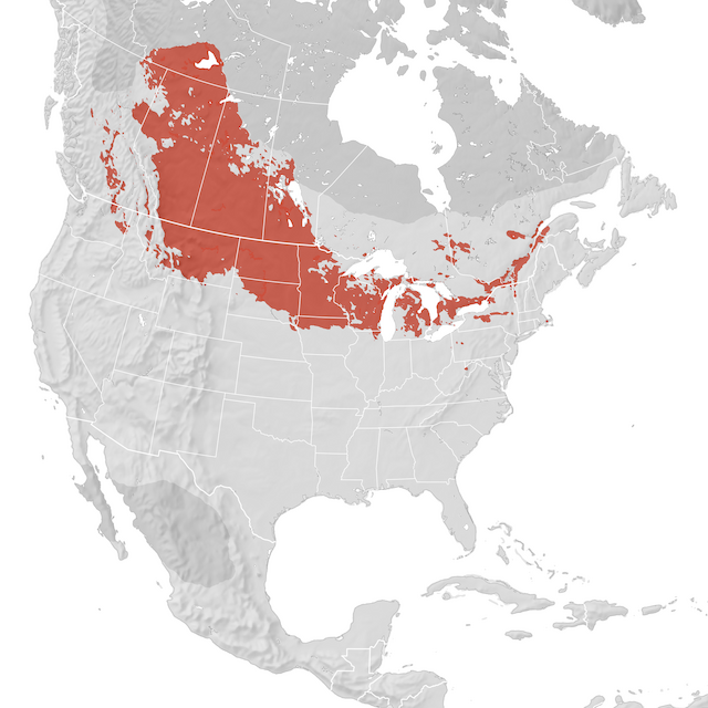 Range Map