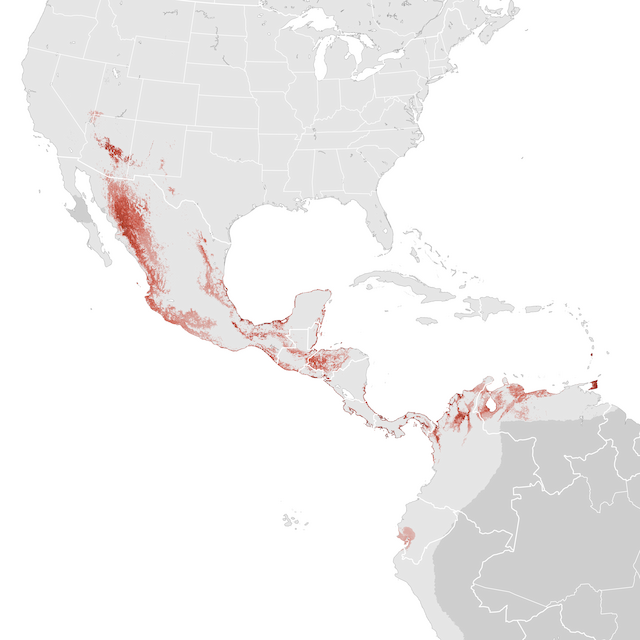 Abundance Map