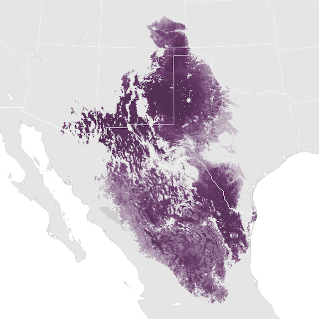 Abundance Map