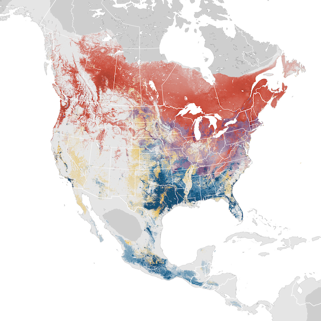 Abundance Map
