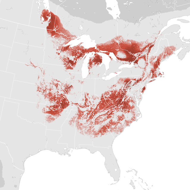 Abundance Map