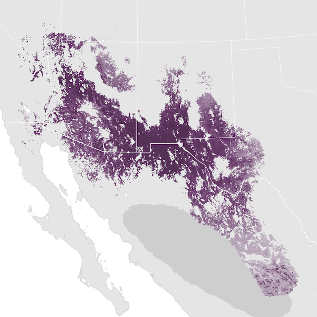 Abundance Map