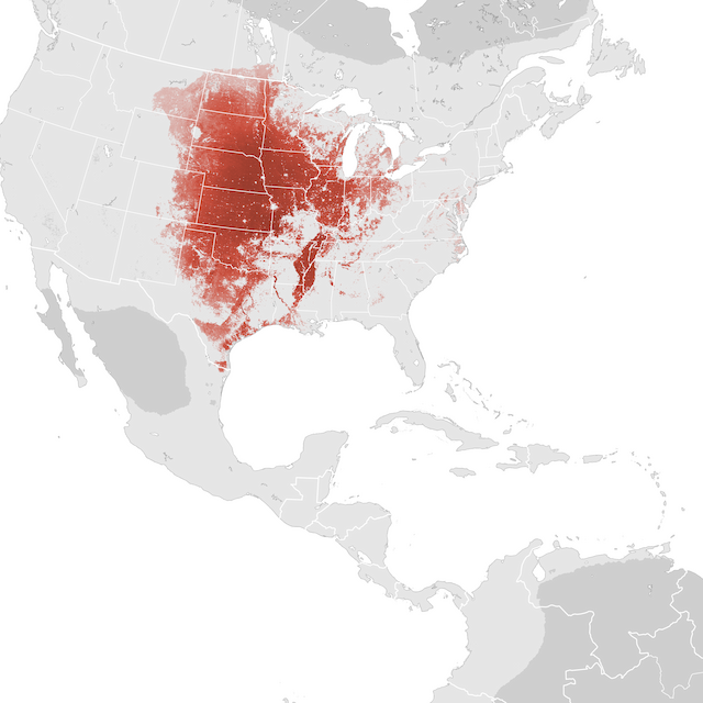 Abundance Map
