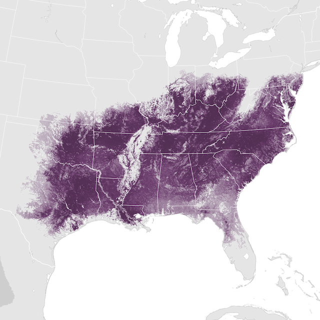 Abundance Map