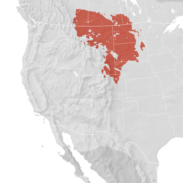 Range Map