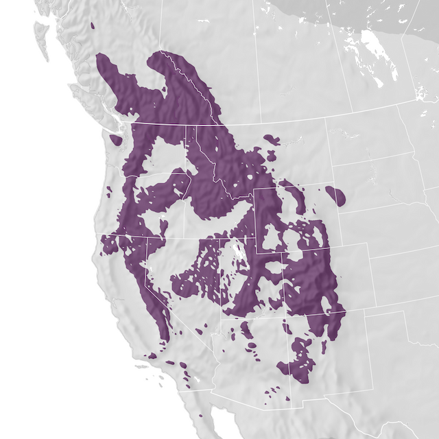 Range Map