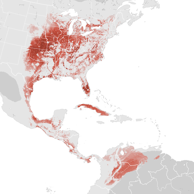 Abundance Map