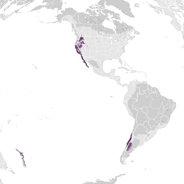 Abundance Map
