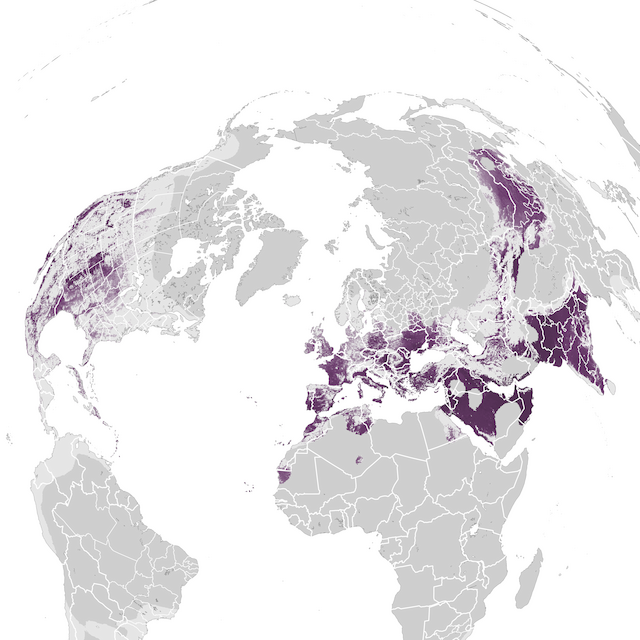 Abundance Map