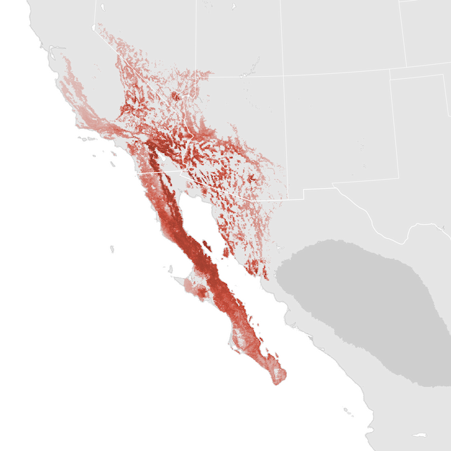 Abundance Map