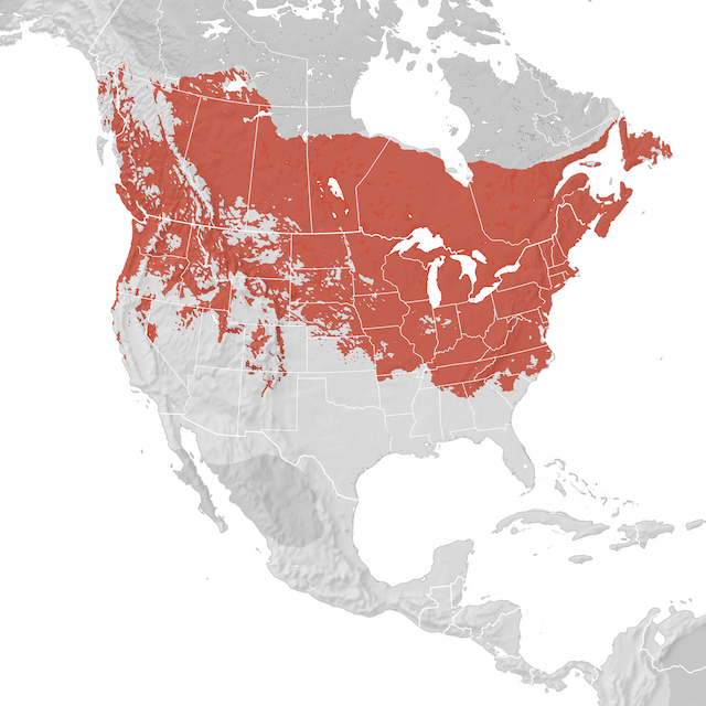 Range Map