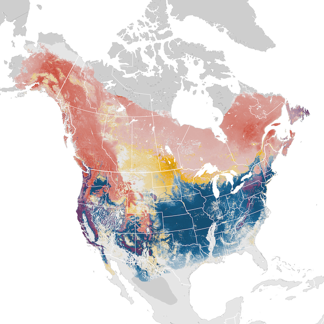 Abundance Map