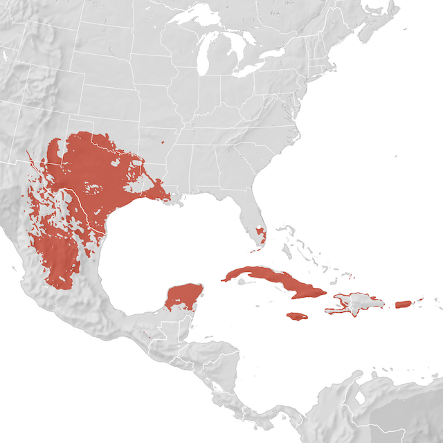 Range Map