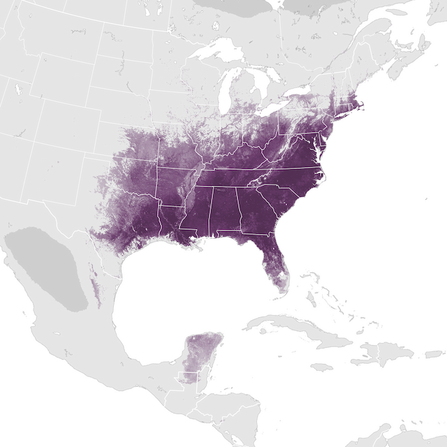 Abundance Map