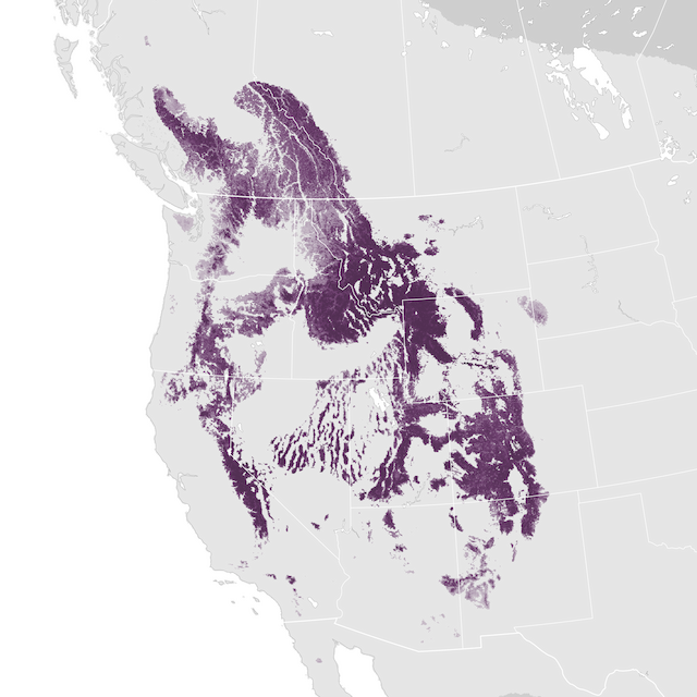 Abundance Map