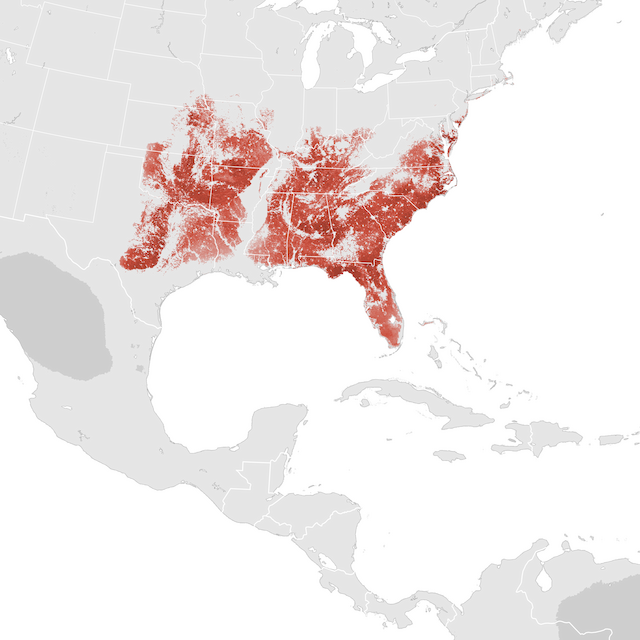 Abundance Map