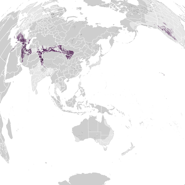 Abundance Map