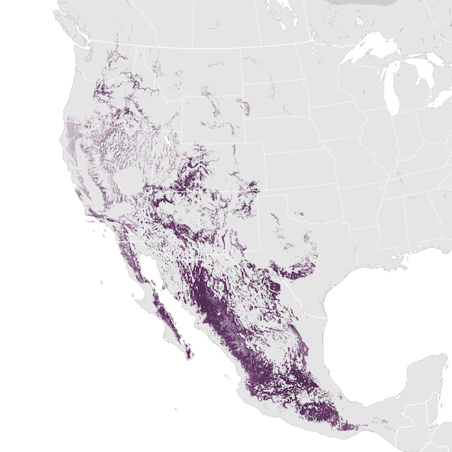 Abundance Map