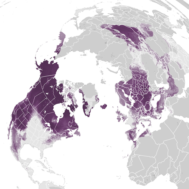 Abundance Map
